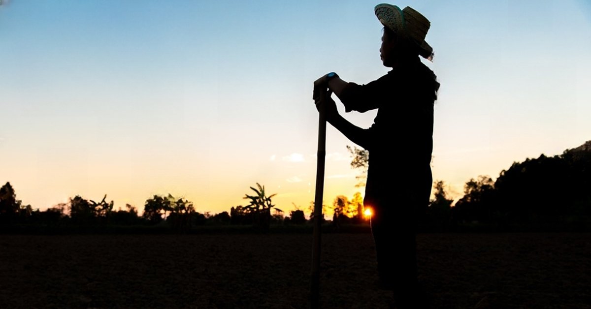 Silhouette of a weathered African farmer, adorned with wisdom, stands tall amidst his bountiful field at the captivating sunset. With a trusty hoe in his hand, he cultivates the earth, embodying generations of farming knowledge. This poignant image captures the resilience and dedication of a proud agriculturalist, whose tireless efforts sustain his community. As the sun casts a golden hue upon the scene, the farmer's silhouette stands as a reminder of the profound connection between humanity and the land we depend on. A breathtaking moment frozen in time, revealing the profound beauty and banned export of a farmer's devotion to nurturing the earth.